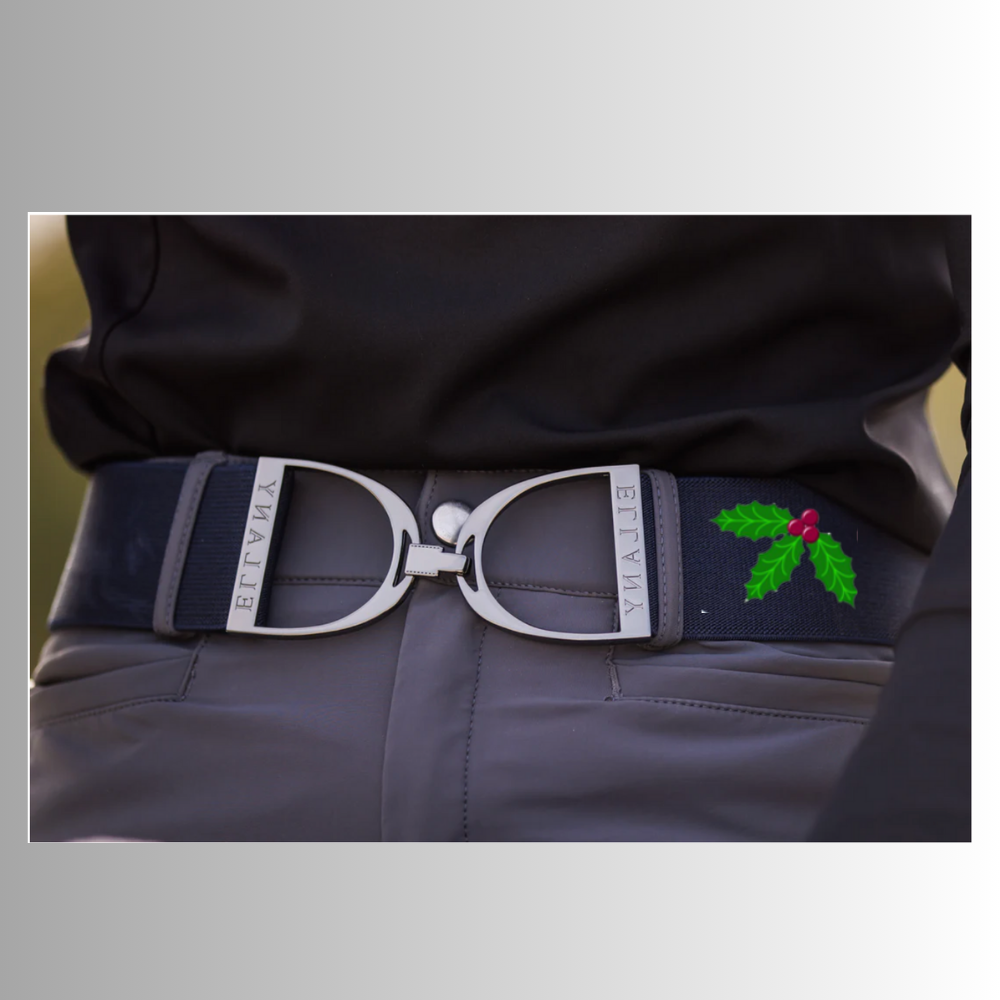 Holly Hill Ellany Elastic 2" Belt