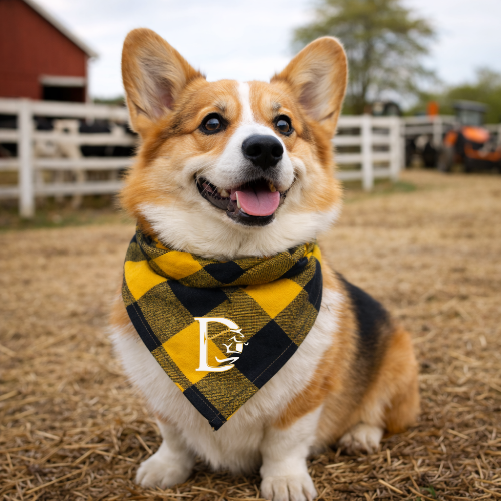 Duncraven PuptownGirl Canine Bandana