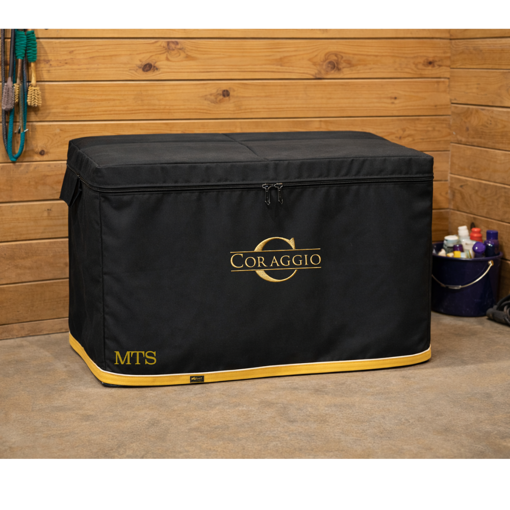 Coraggio Trunk Cover by Wilsun Custom
