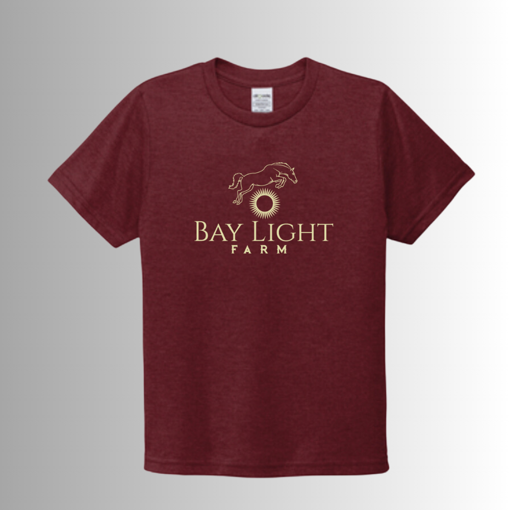 Bay Light Allmade® Youth Unisex Tri-Blend Short Sleeve Tee