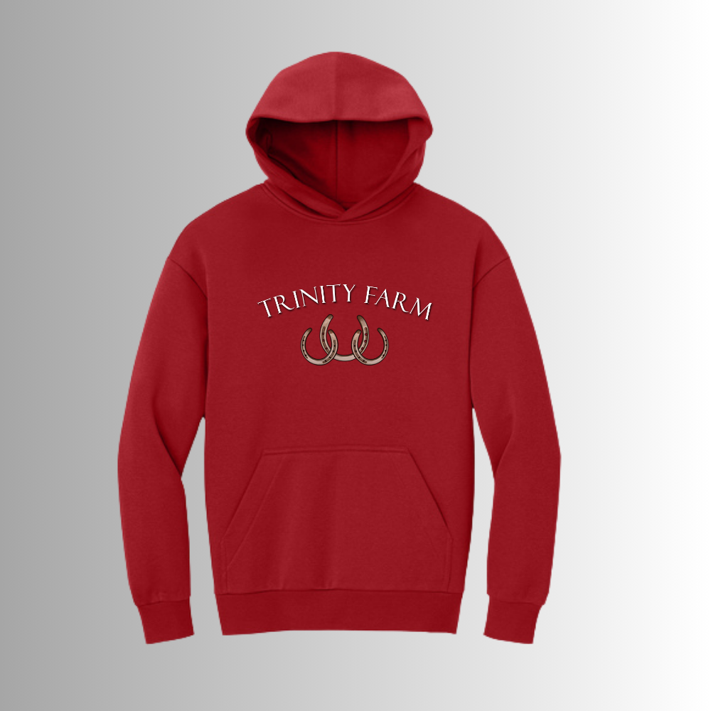 Trinity District® V.I.T.™ Heavyweight Fleece Hoodie