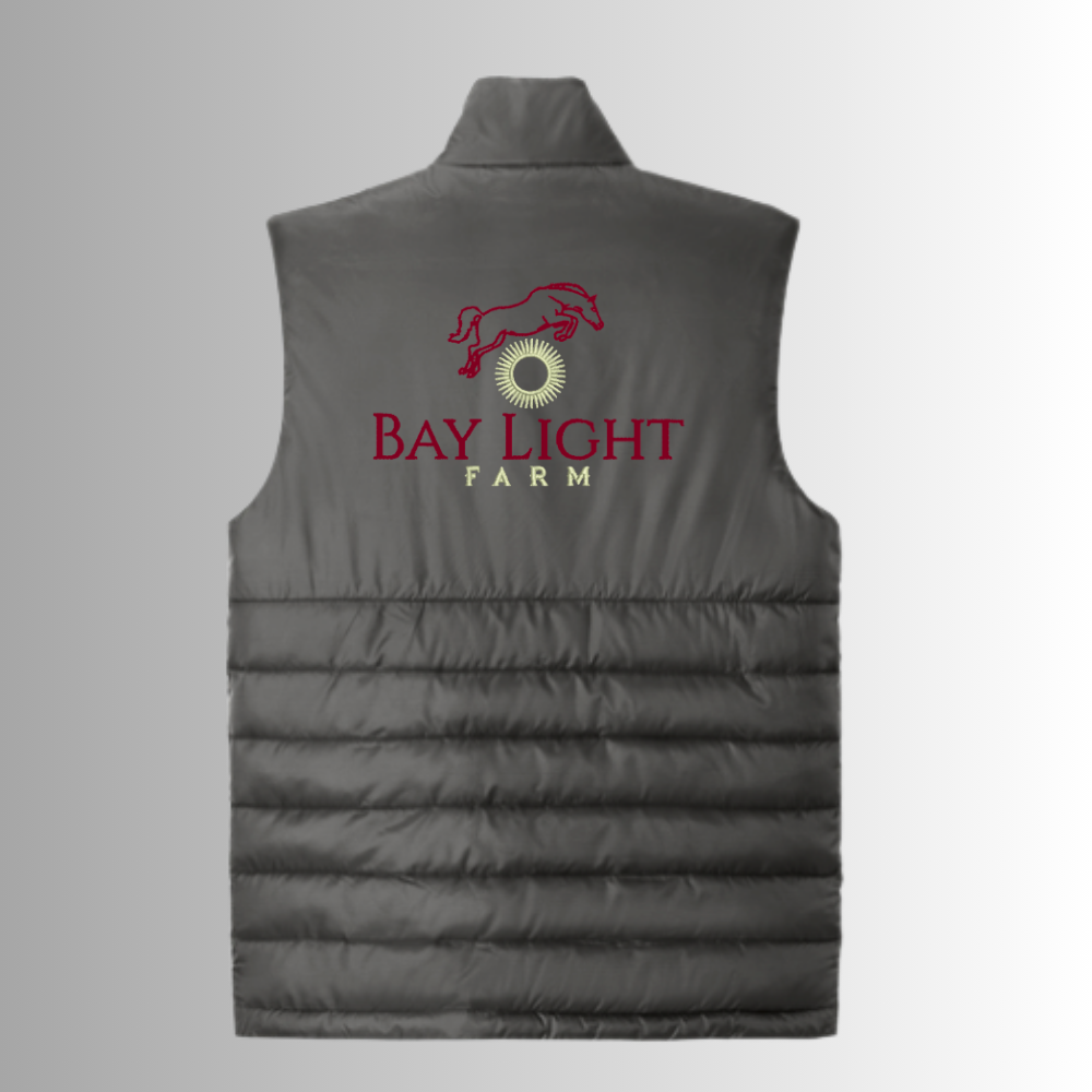 Bay Light Eddie Bauer® Men's Quilted Vest