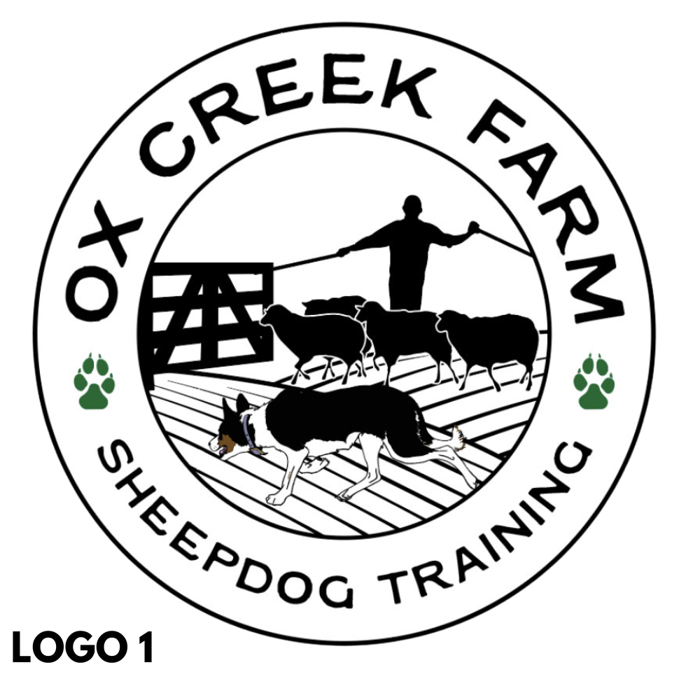 OX Creek Women's Port Authority® Core Colorblock Soft Shell Jacket