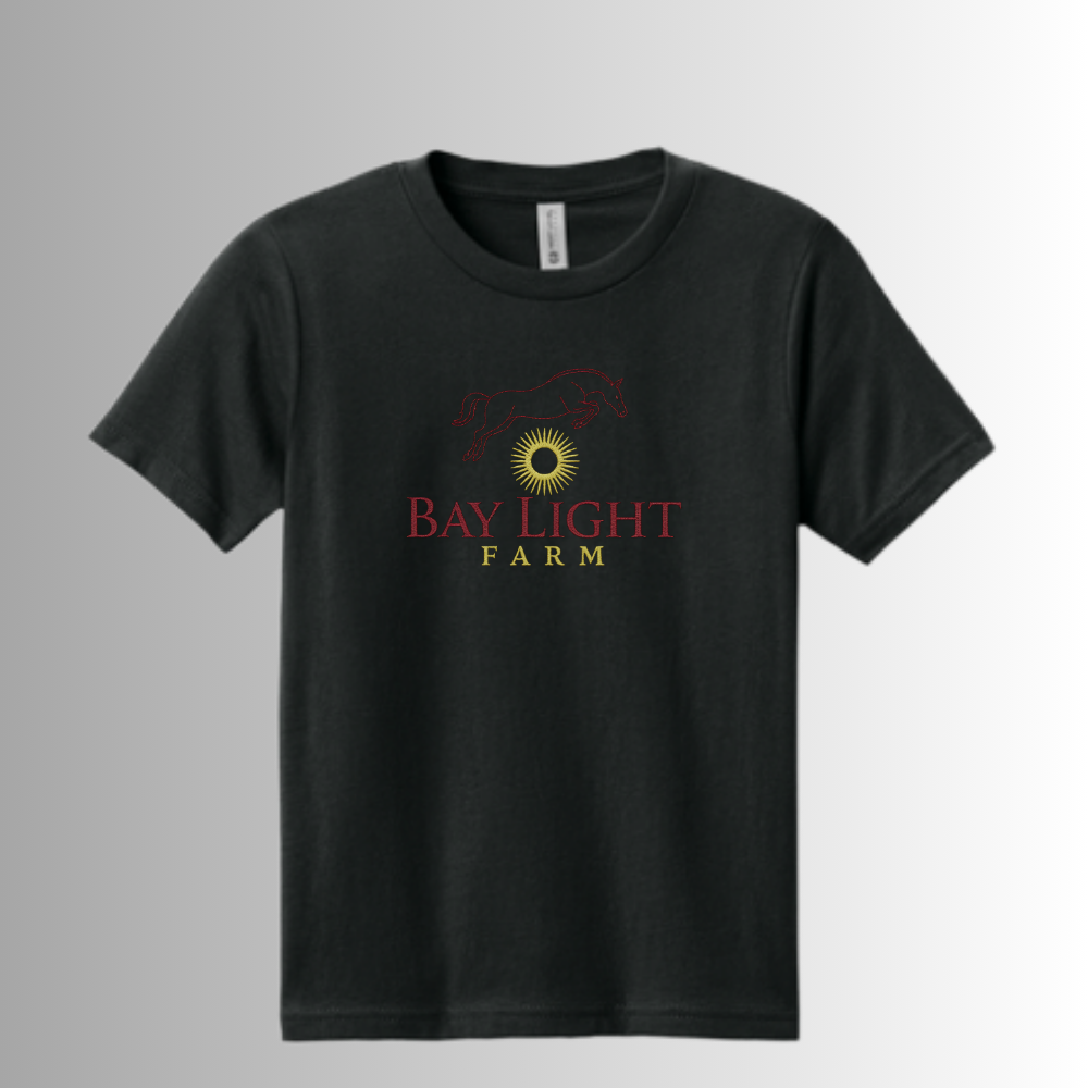 Bay Light Allmade® Adult Unisex Tri-Blend Short Sleeve Tee