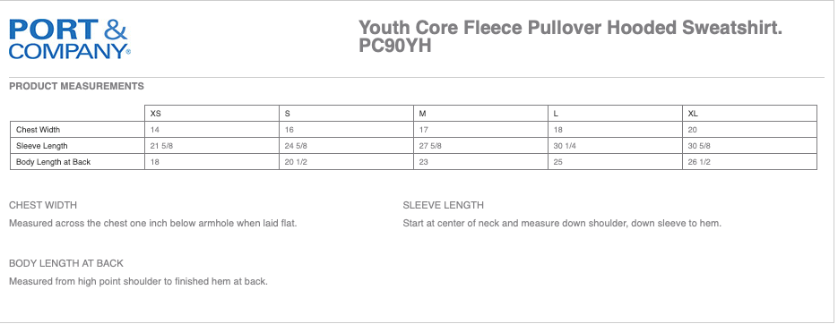 PLR Youth Hoodie