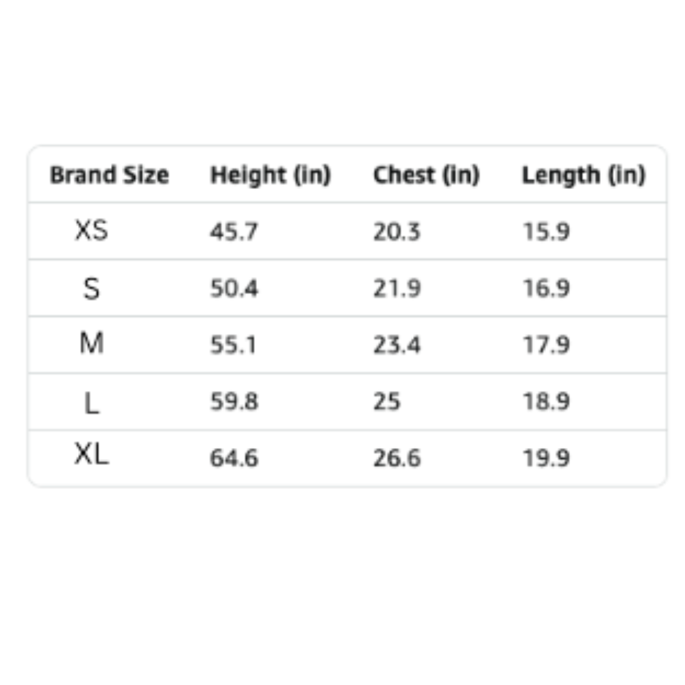 Palina's Youth 1/4 Zip Pullover Sweatshirt