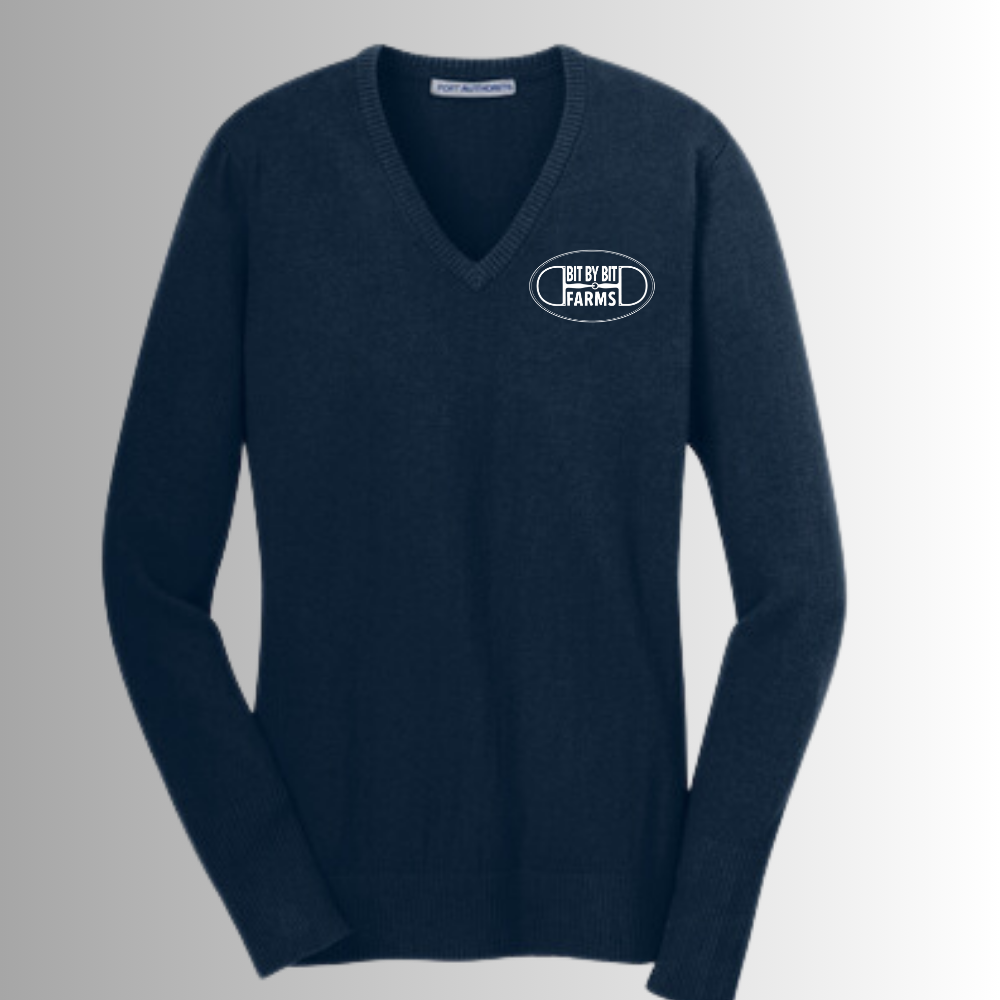 Bit by Bit Women's V-Neck Sweater