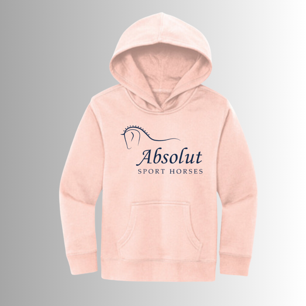 Absolut Youth Hoodie