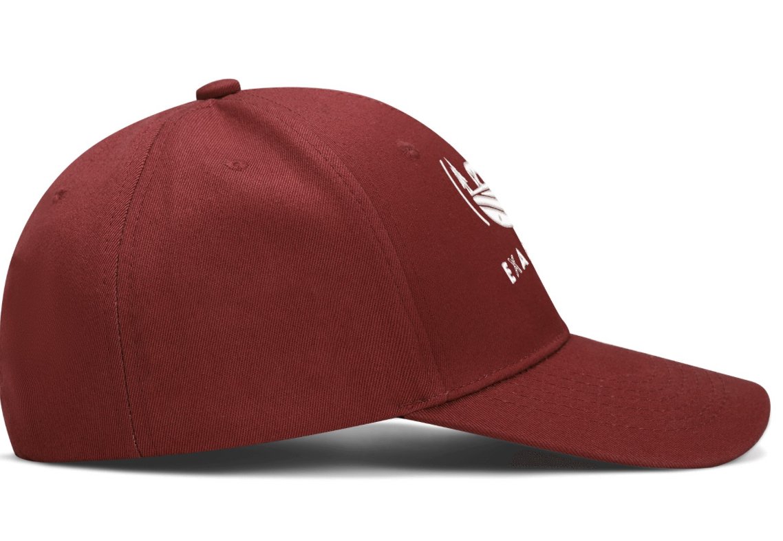 Embroidered Baseball Cap - Equiclient Apparel