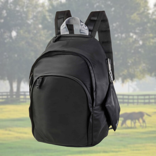 *FLASH SALE Veltri Delaire Backpack