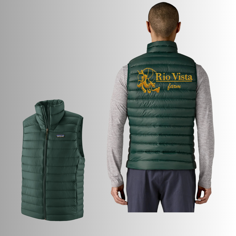 Rio Vista Men's Patagonia Down Sweater Vest