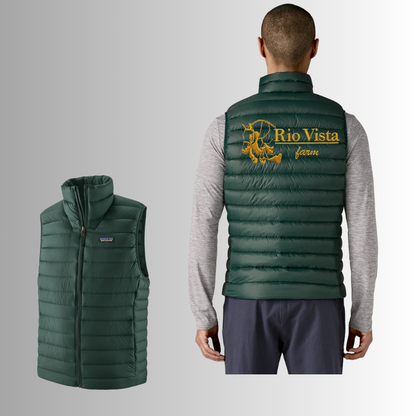 Rio Vista Men's Patagonia Down Sweater Vest