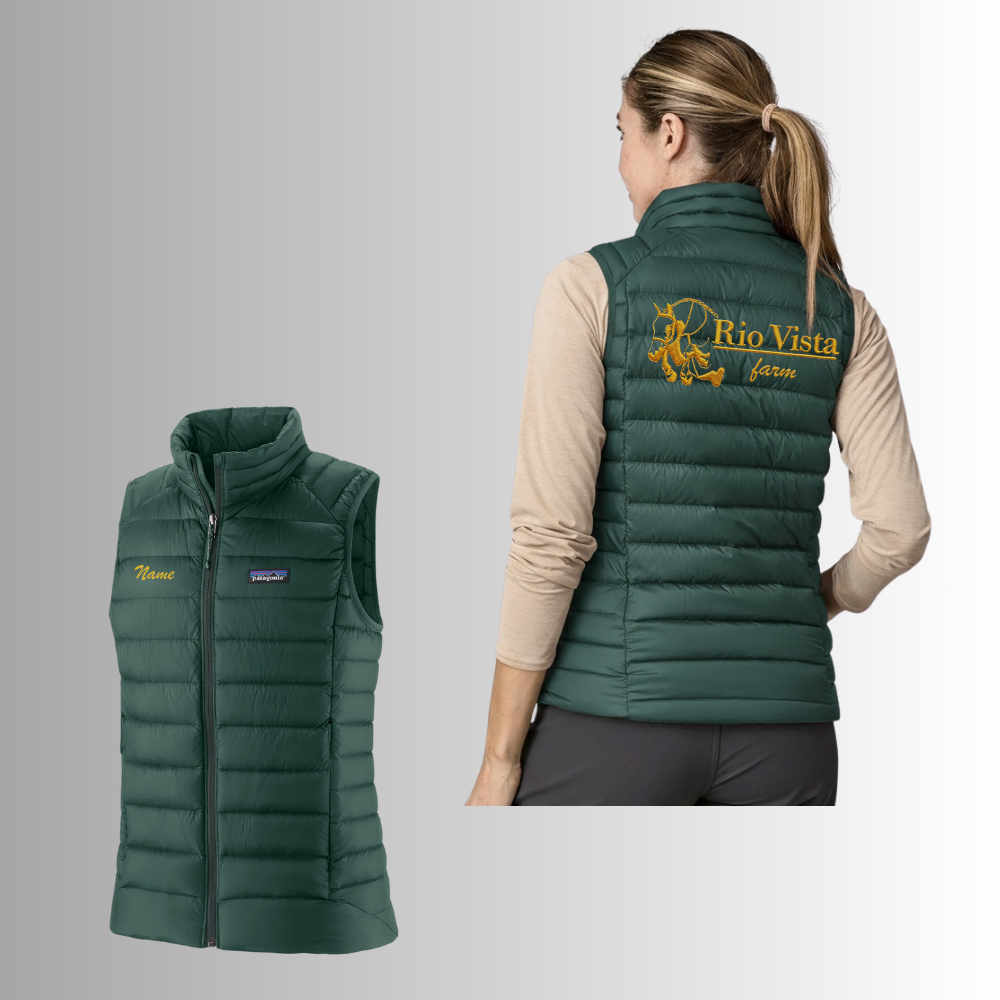 Rio Vista Women's Patagonia Down Sweater Vest