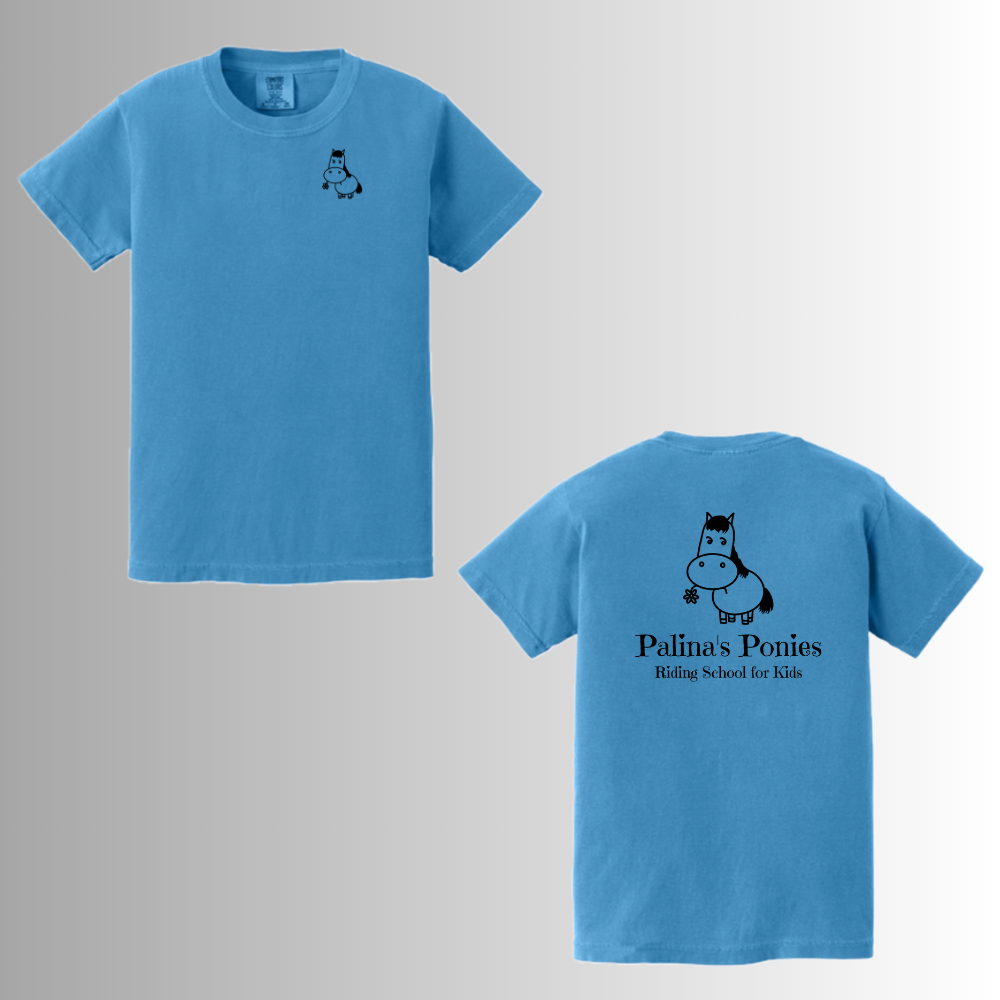 Palina's Comfort Colors® Youth Ring Spun Tee