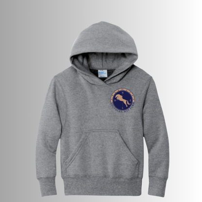 Southern Way Youth Hoodie