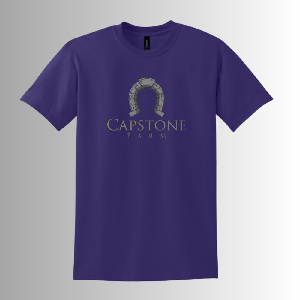 Capstone Unisex Gildan® DryBlend® 50 Cotton/50 Poly T-Shirt