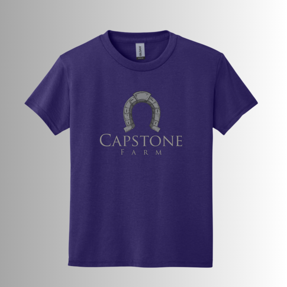 Capstone Youth Gildan® DryBlend® 50 Cotton/50 Poly T-Shirt
