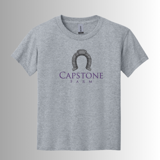 Capstone Youth Gildan® DryBlend® 50 Cotton/50 Poly T-Shirt