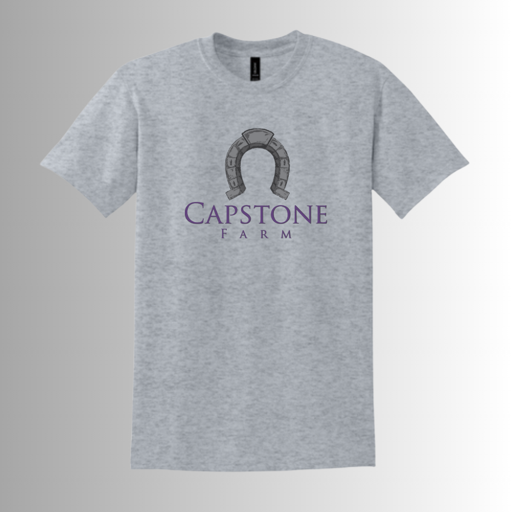 Capstone Unisex Gildan® DryBlend® 50 Cotton/50 Poly T-Shirt