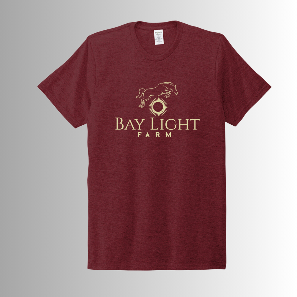 Bay Light Allmade® Adult Unisex Tri-Blend Short Sleeve Tee