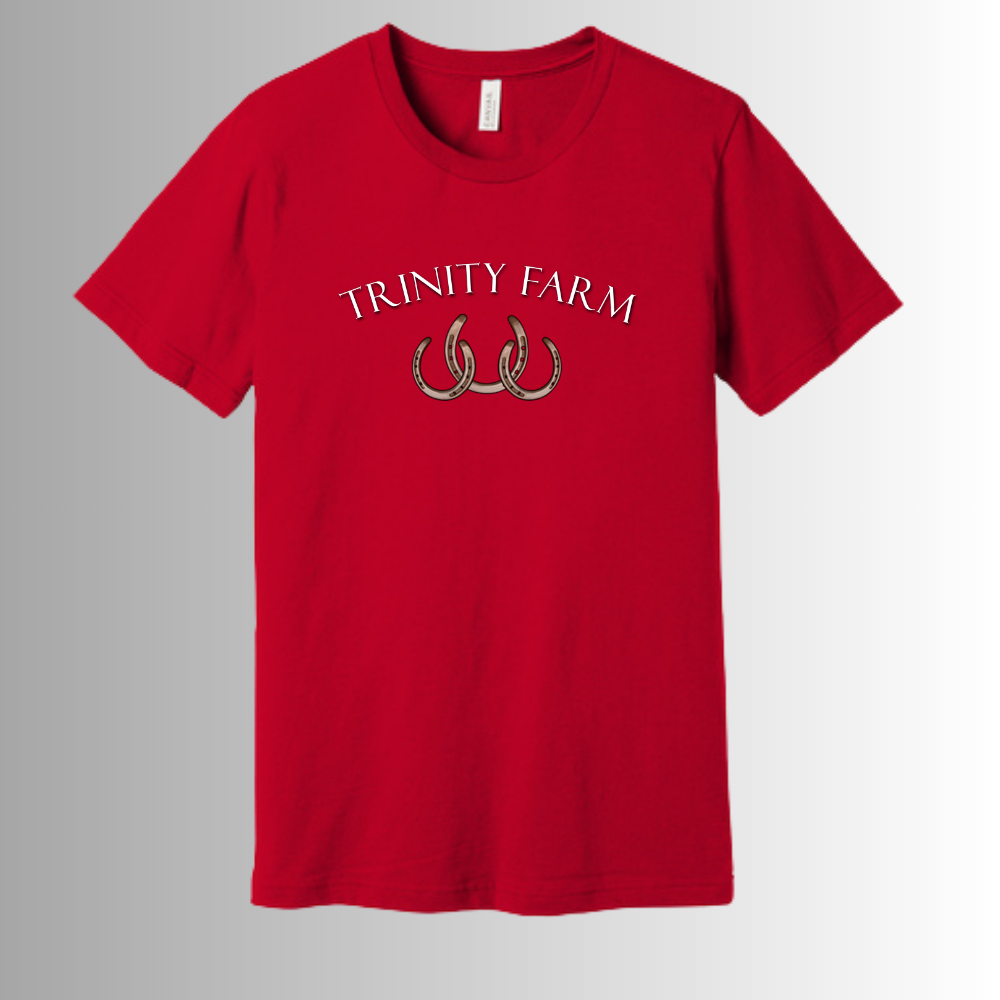 Trinity BELLA+CANVAS® Unisex Jersey Short Sleeve Tee