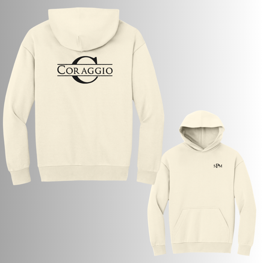 Coraggio District® V.I.T.™ Heavyweight Fleece Hoodie