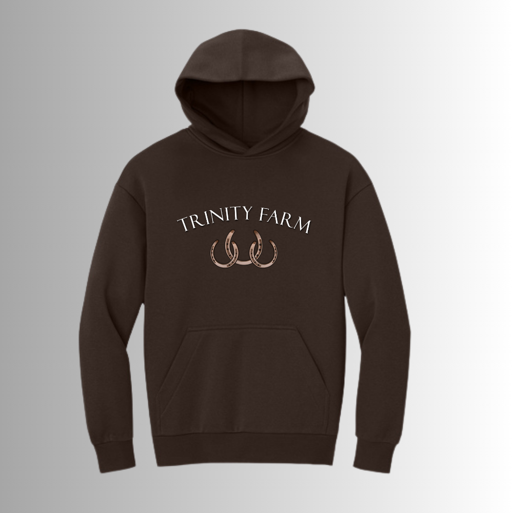 Trinity District® V.I.T.™ Heavyweight Fleece Hoodie