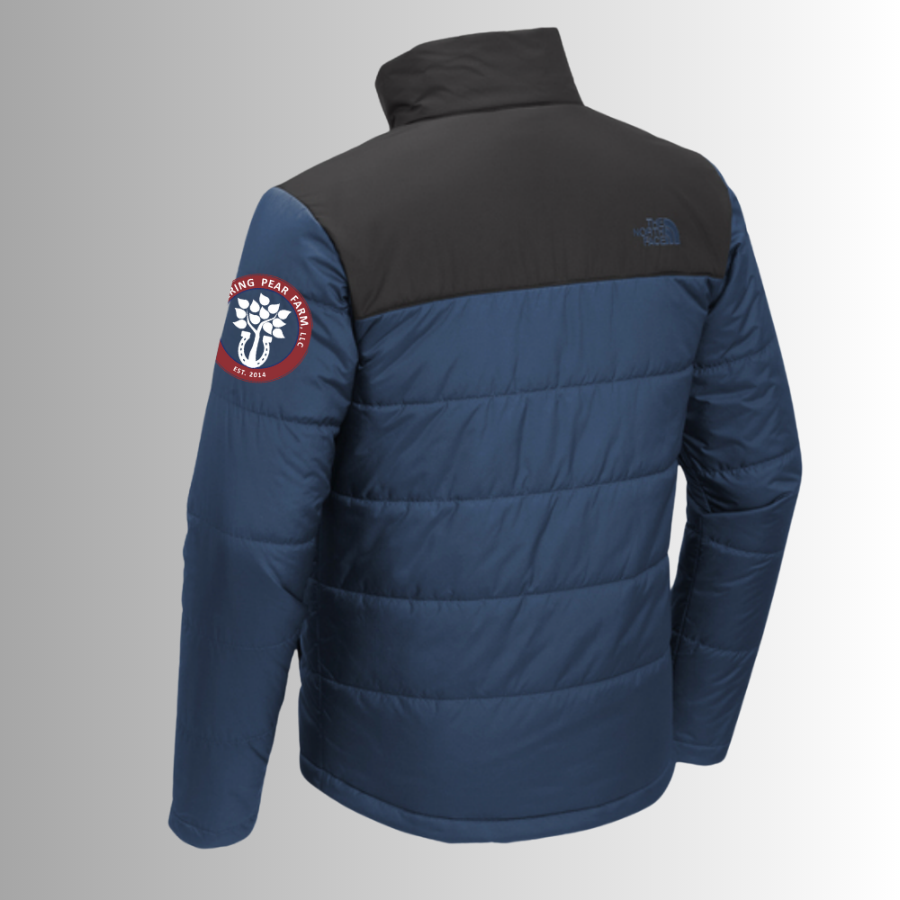 FPF The North Face® Men's Chest Logo Everyday Insulated Jacket
