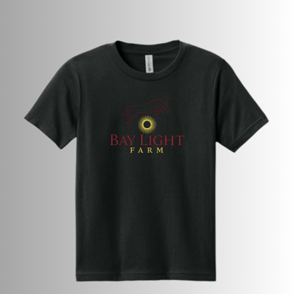Bay Light Allmade® Adult Unisex Tri-Blend Short Sleeve Tee