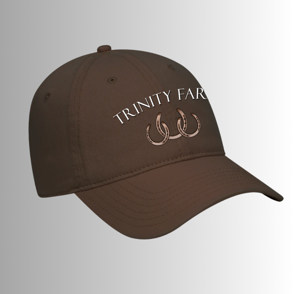 Trinity Low Profile Dad Hat Relaxed 100% Cotton Cap