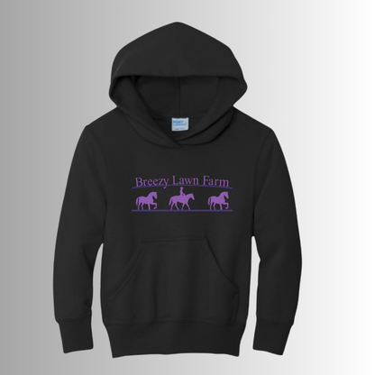 Breezy Lawn Stables Youth Hoodie