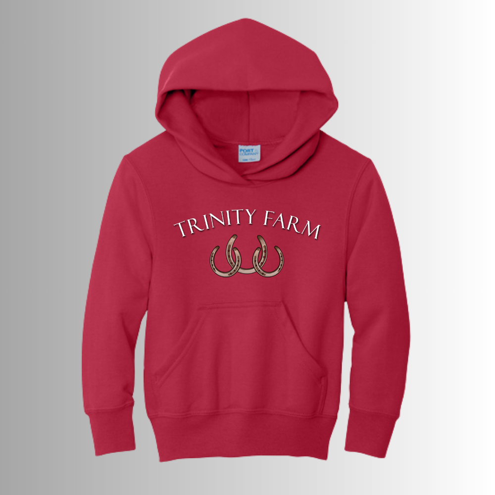 Trinity Youth Hoodie