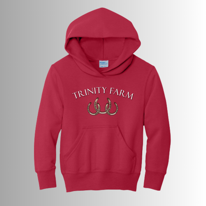 Trinity Youth Hoodie