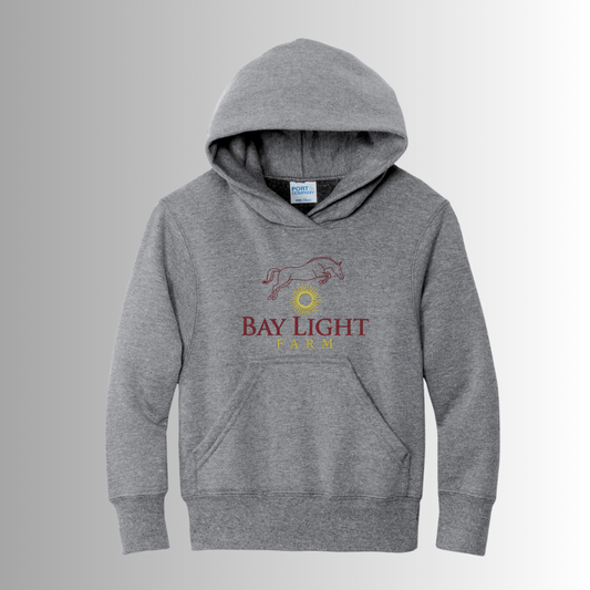 Bay Light Youth Hoodie