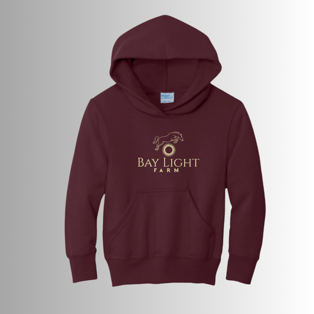 Bay Light Youth Hoodie