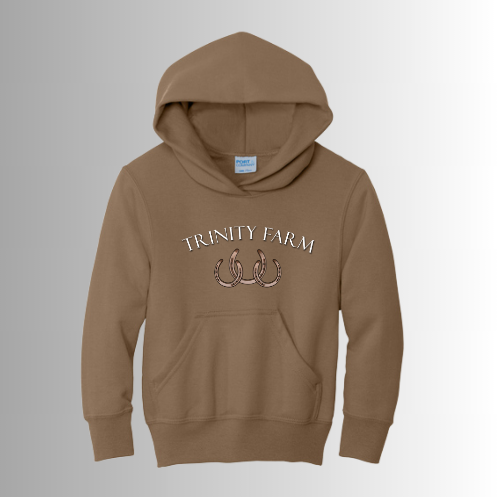 Trinity Youth Hoodie
