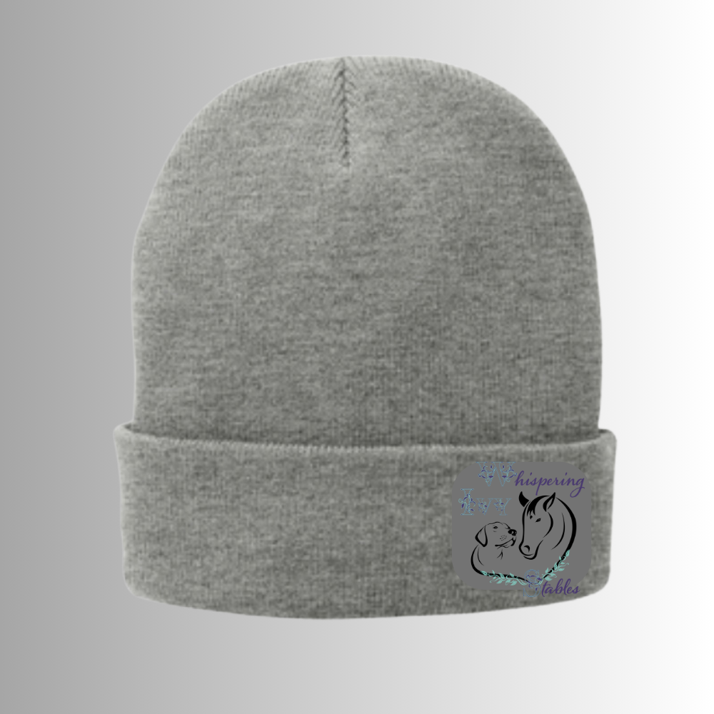 Whispering Ivy Port & Company® Fleece-Lined Knit Cap