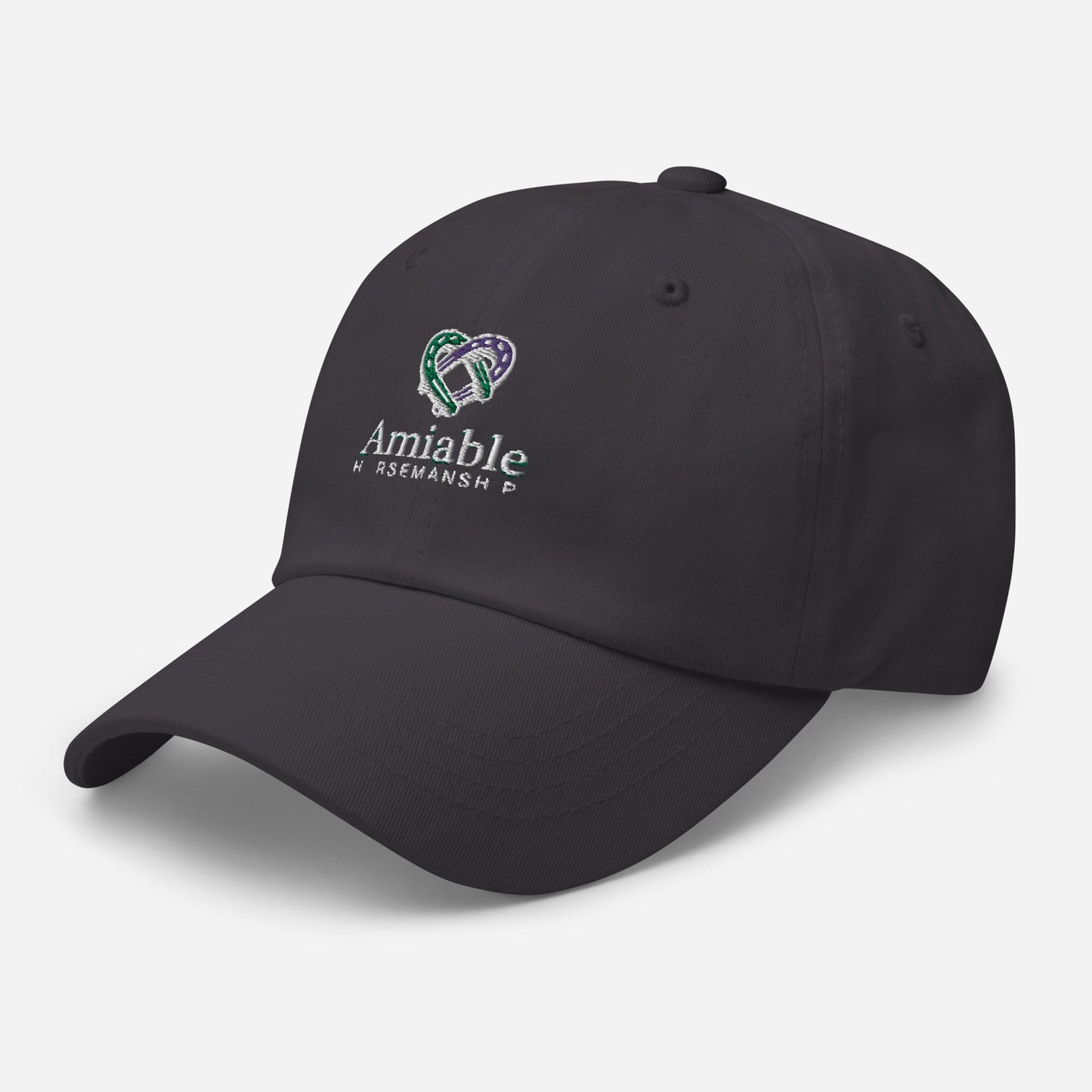 Amiable Baseball Cap (dark colors) - Equiclient Apparel