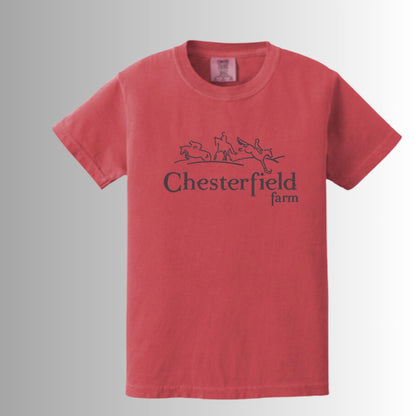 CTF Comfort Colors ® Youth Heavyweight Ring Spun Tee - Equiclient Apparel