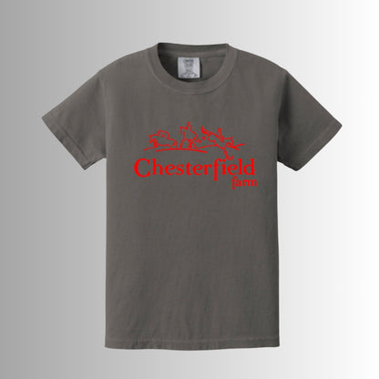 CTF Comfort Colors ® Youth Heavyweight Ring Spun Tee - Equiclient Apparel