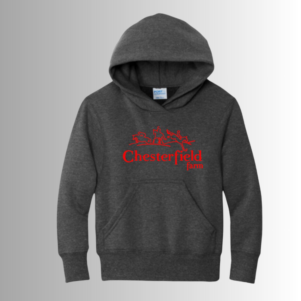 CTF Youth Hoodie - Equiclient Apparel