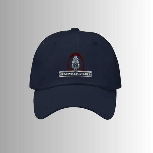 HWS Baseball Cap (navy) - Equiclient Apparel