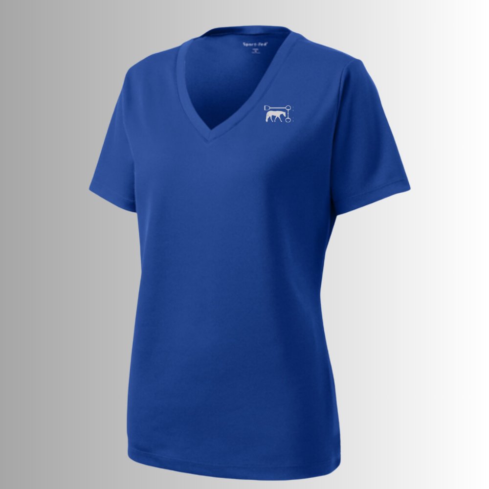 Stride by Stride Women's V-Neck Sport T-Shirt - Equiclient Apparel