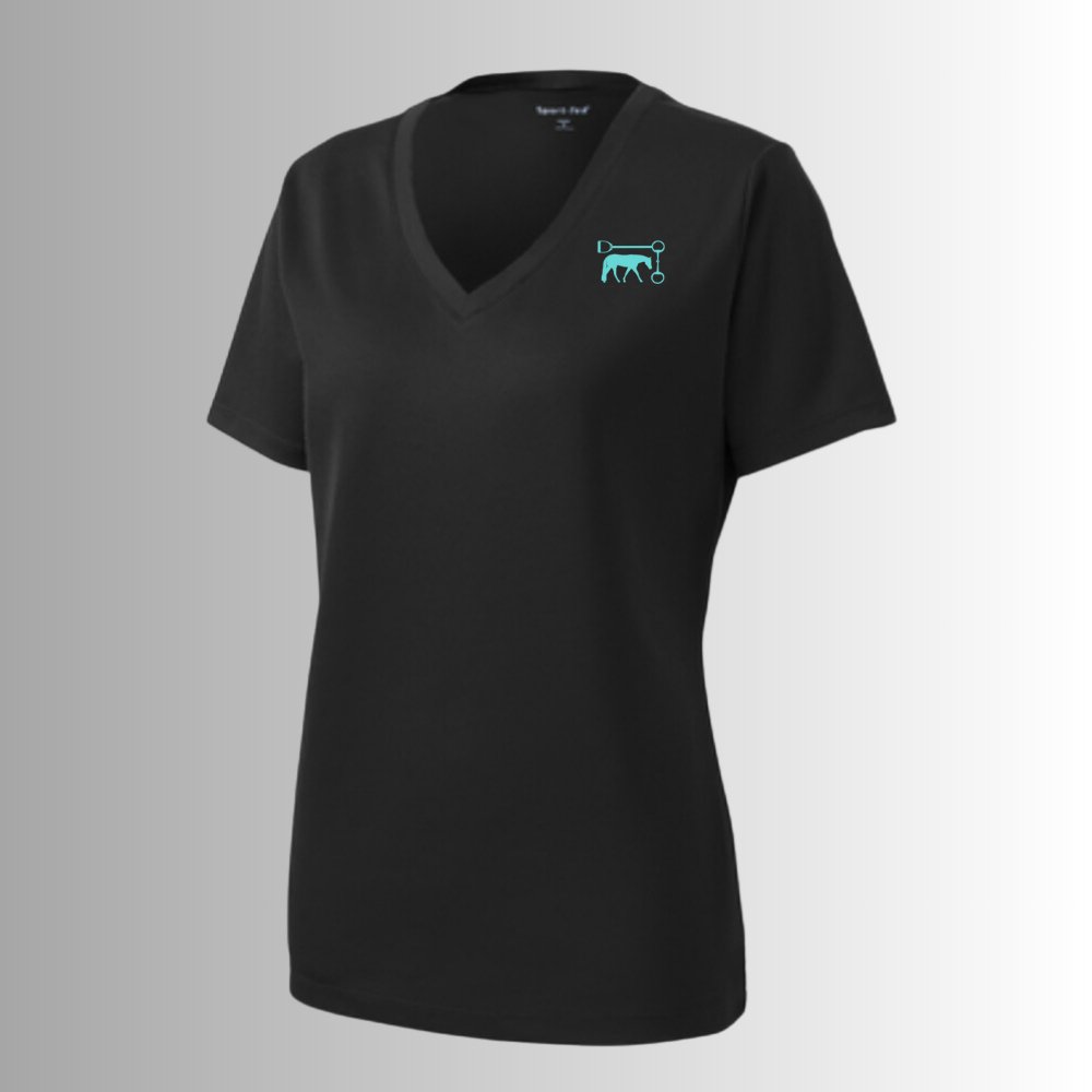 Stride by Stride Women's V-Neck Sport T-Shirt - Equiclient Apparel