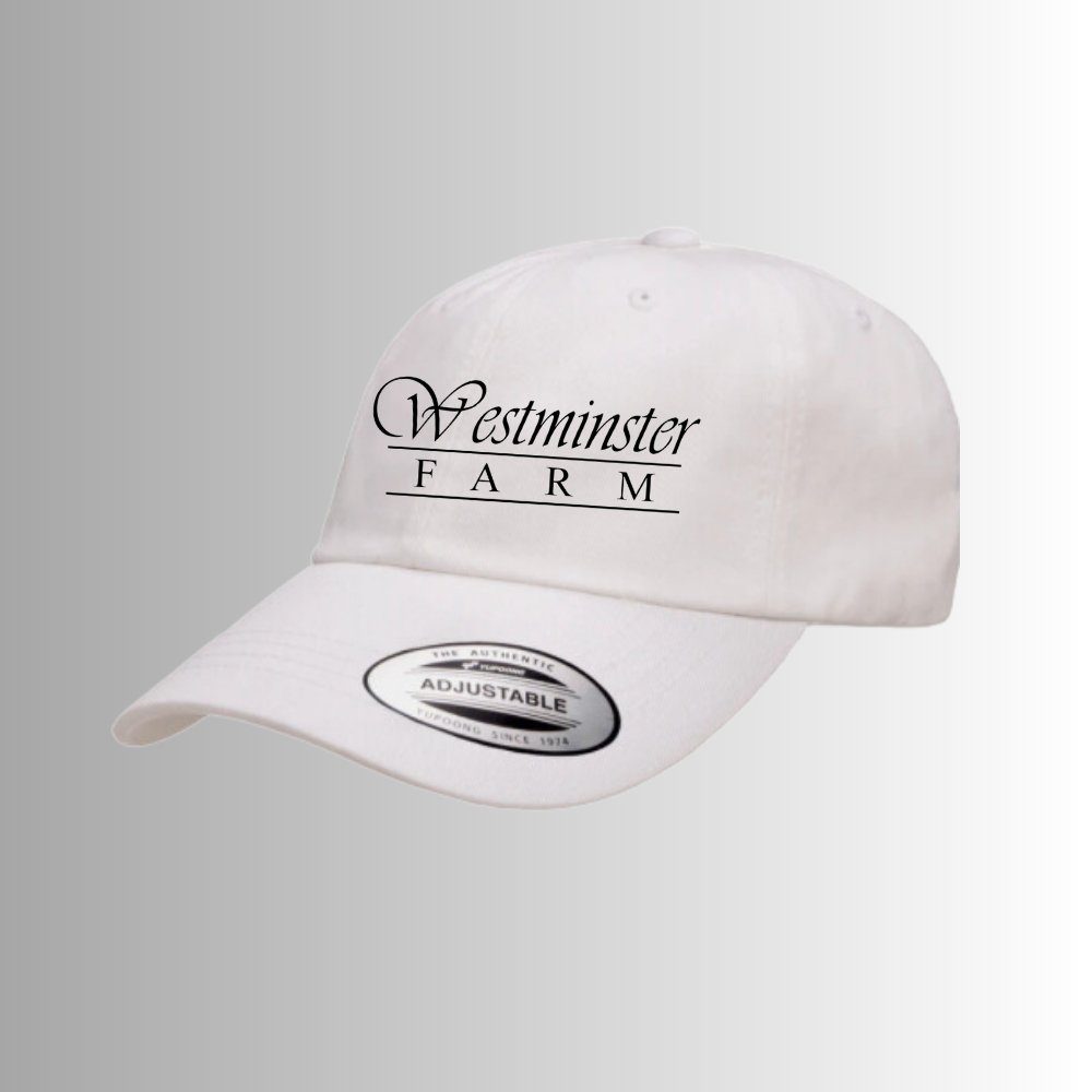 Westminster Baseball Cap - Equiclient Apparel